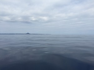海