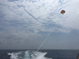 IMG_2990