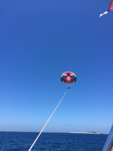 IMG_4282