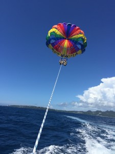IMG_4091