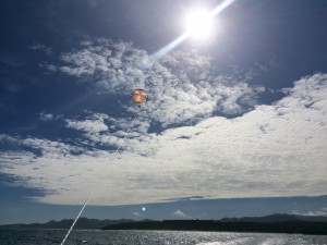 IMG_5399