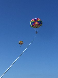 IMG_7398