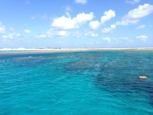 IMG_8397