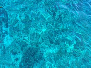 IMG_2722