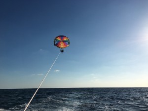 IMG_7588