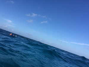IMG_7657