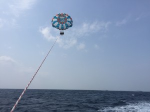 IMG_2185