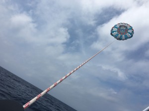 IMG_0211