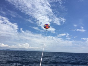 IMG_3466