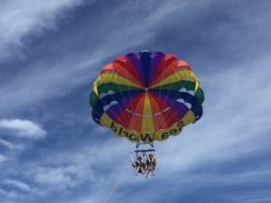 IMG_7293