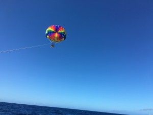 img_1689