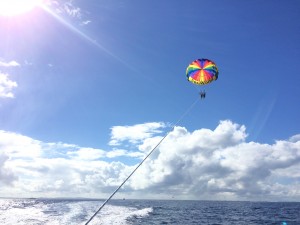 img_6241
