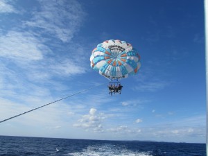 IMG_0546