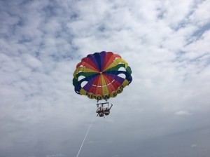 IMG_4447