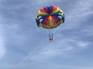IMG_0718