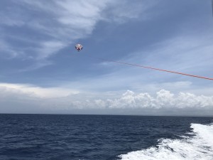 IMG_1769
