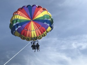 IMG_2225