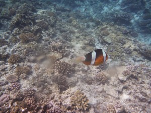 P1120035