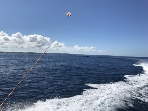 IMG_3698