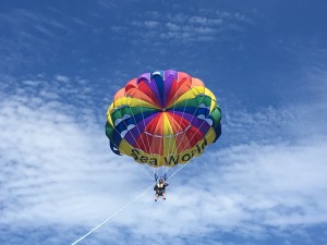 IMG_6429