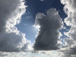 IMG_6723