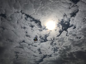 IMG_3719