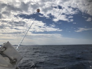 IMG_0053