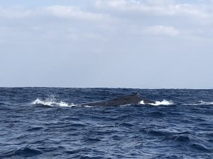 IMG_1902