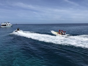 IMG_9399