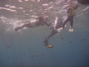 P1150075