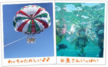 マーリンコース