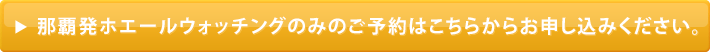 那覇発ホエールウォッチングのみのご予約はこちらからお申し込みください。