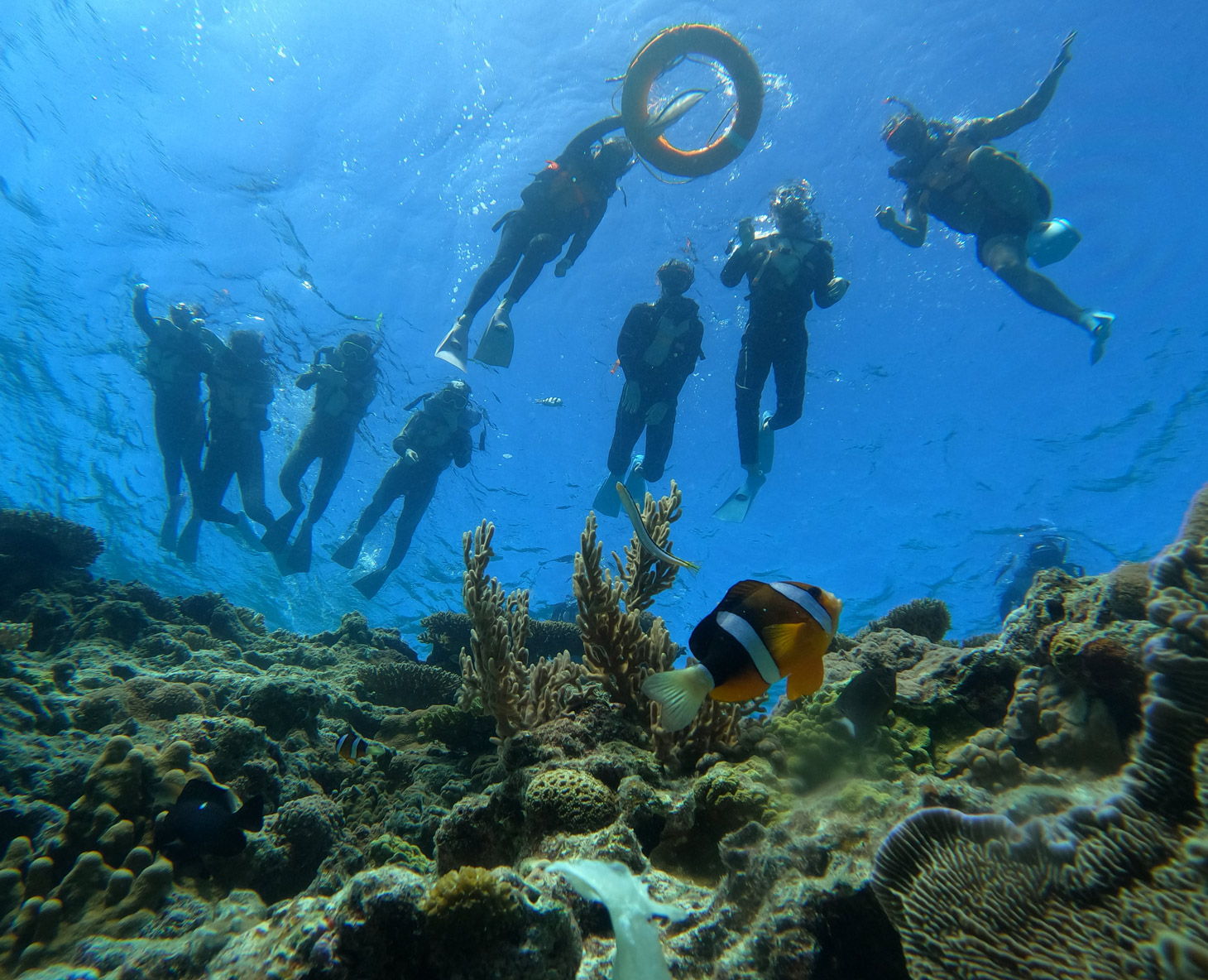 水納島シュノーケルツアーコース