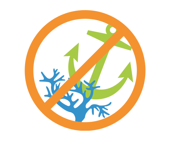 停泊時サンゴを傷つけない為にダイバー潜行による錨の設置