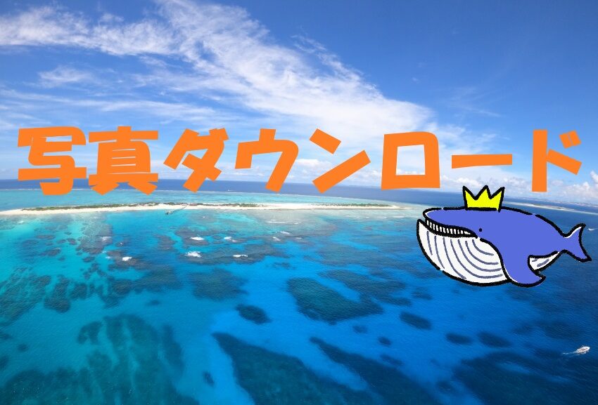 【9月12日】写真ダウンロード